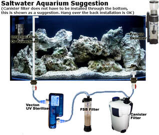 Basic Saltwater Aquarium Set Up; Marine Tank Diagrams, Equipment